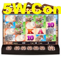 Tournament Betting